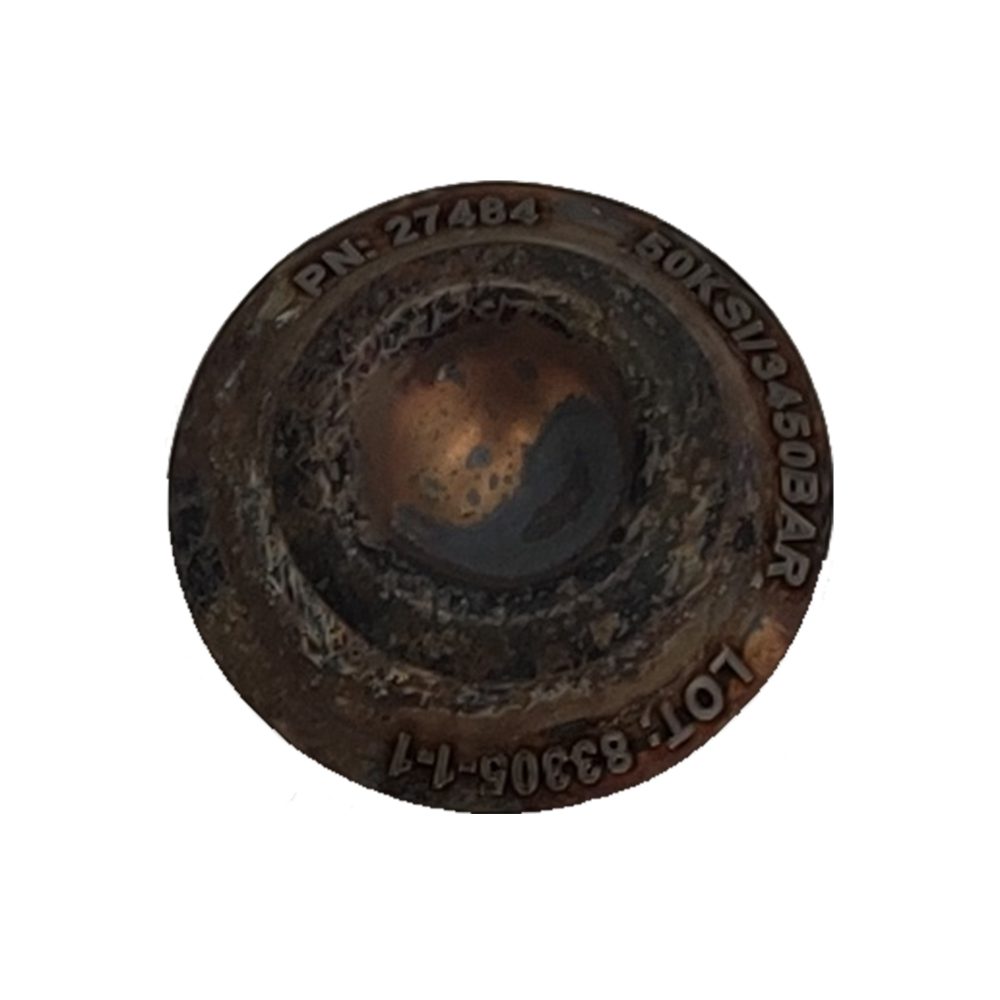 L102686 Rupture Disc Assembly